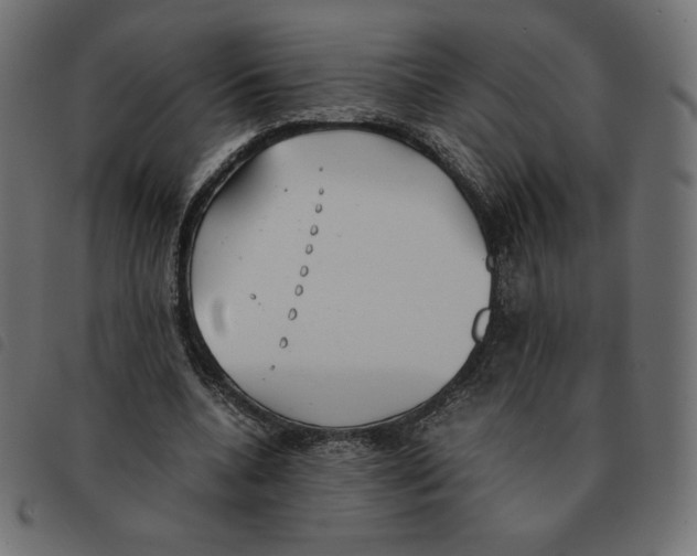 X0000092330536200710121536