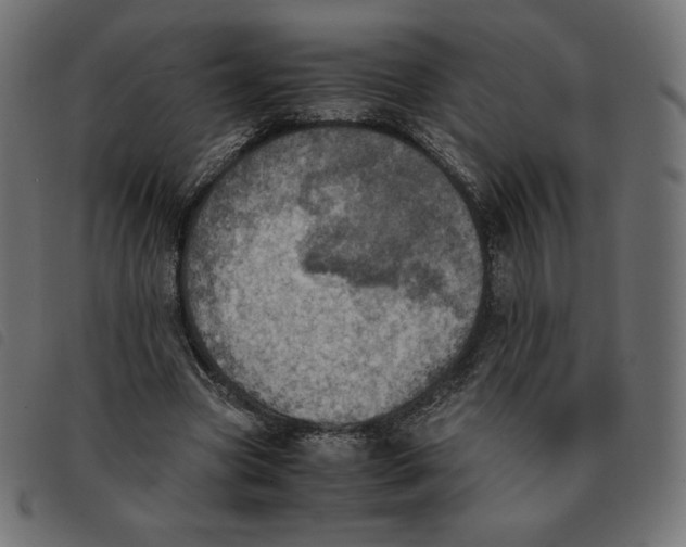 X0000092330537200710121536