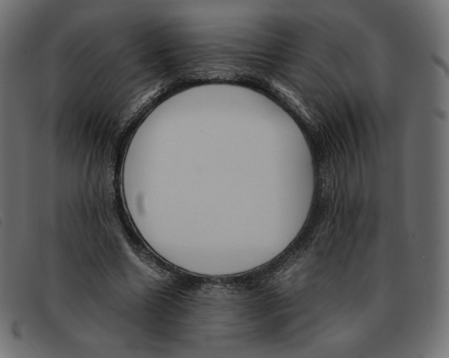 X0000092330538200710121536