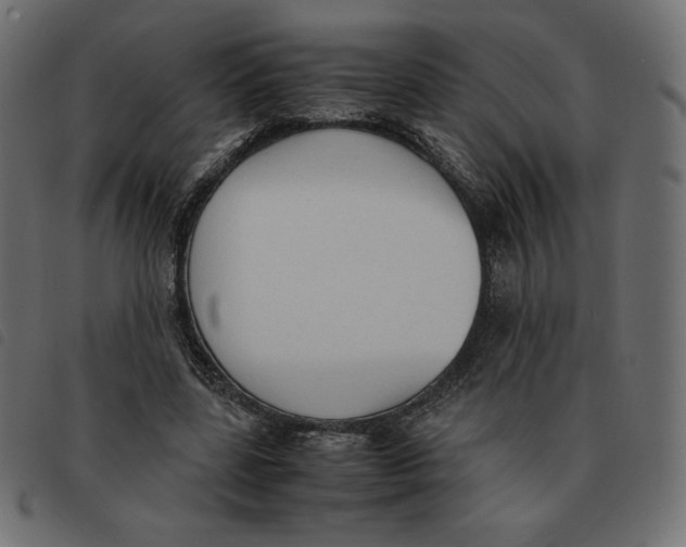 X0000092330539200710121536