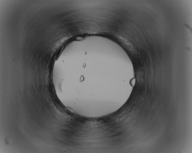 X0000092330540200710121536