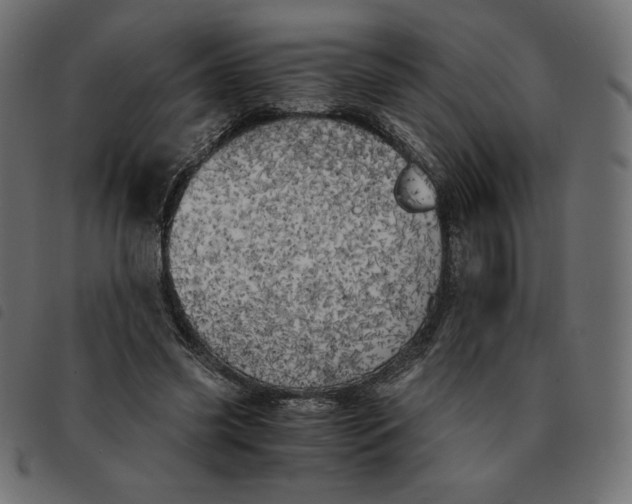X0000092330541200710121536