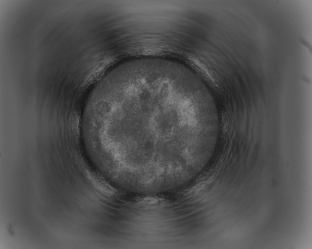 X0000092330542200710121536
