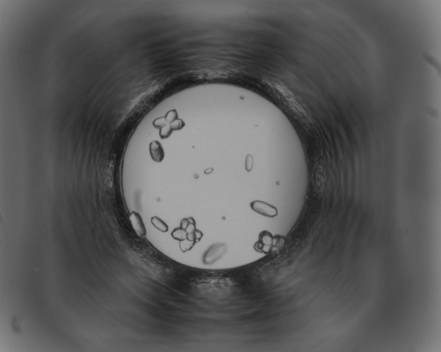 X0000092330543200710121536