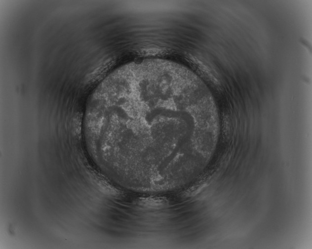 X0000092330545200710121536
