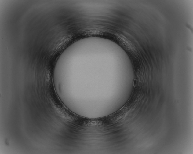 X0000092330546200710121536