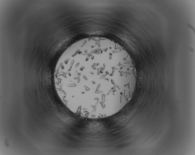 X0000092330547200710121536