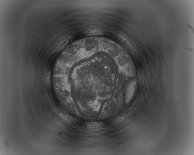 X0000092330549200710121536