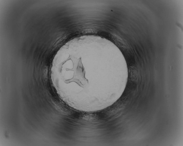 X0000092330550200710121536