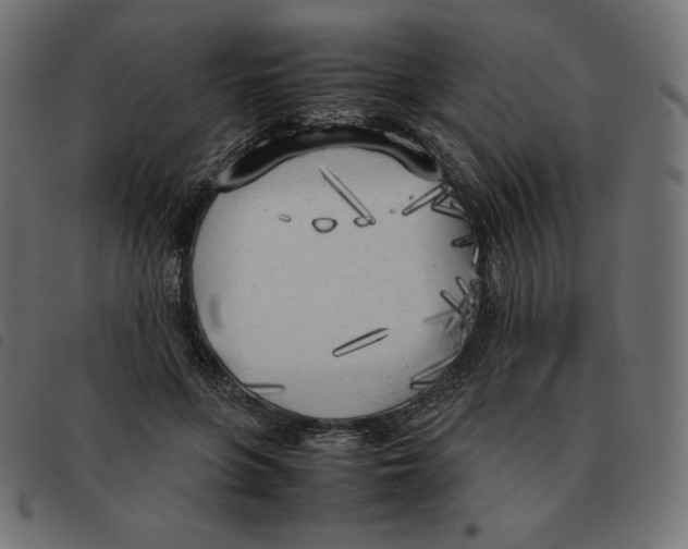 X0000092330551200710121536