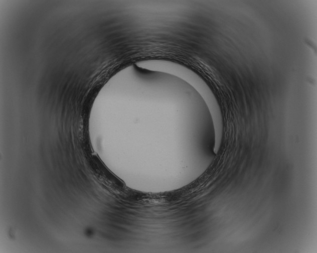 X0000092330552200710121536