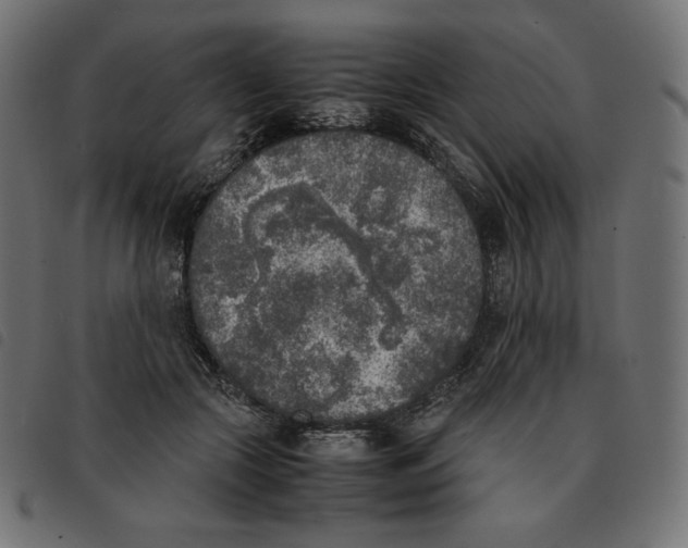X0000092330553200710121536