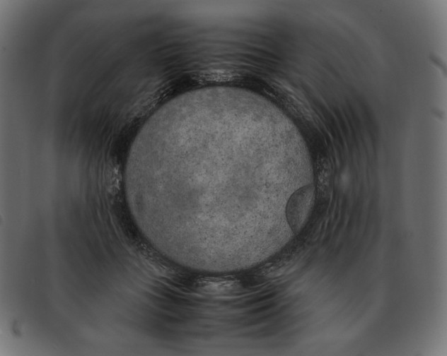 X0000092330555200710121536