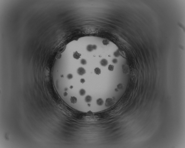 X0000092330556200710121536