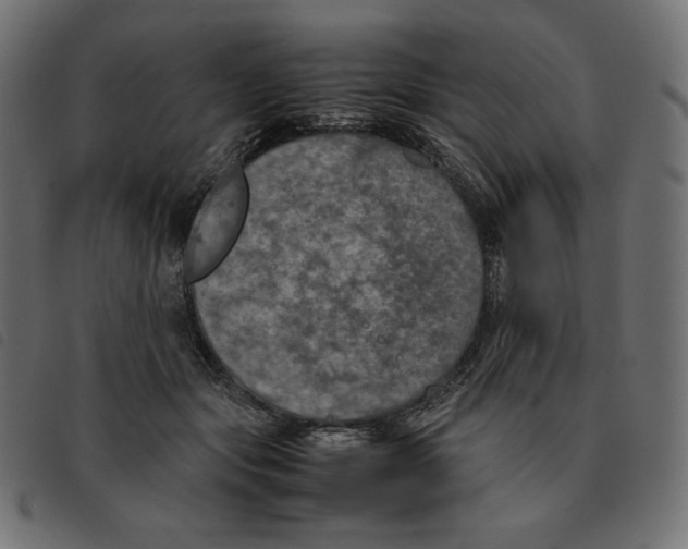 X0000092330557200710121536
