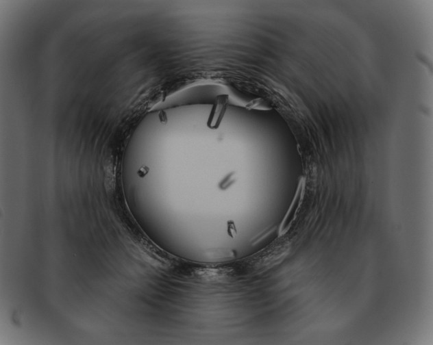X0000092330558200710121536