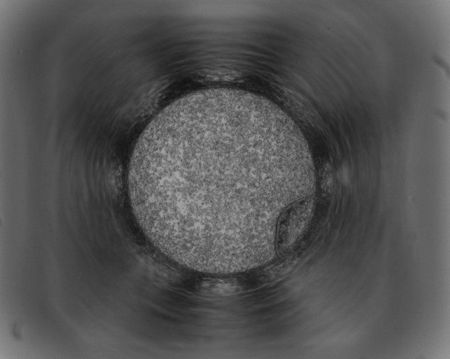X0000092330559200710121536