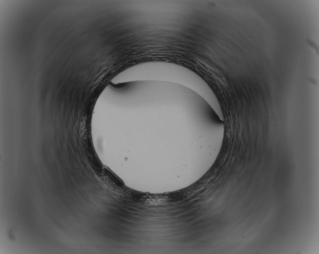 X0000092330560200710121536
