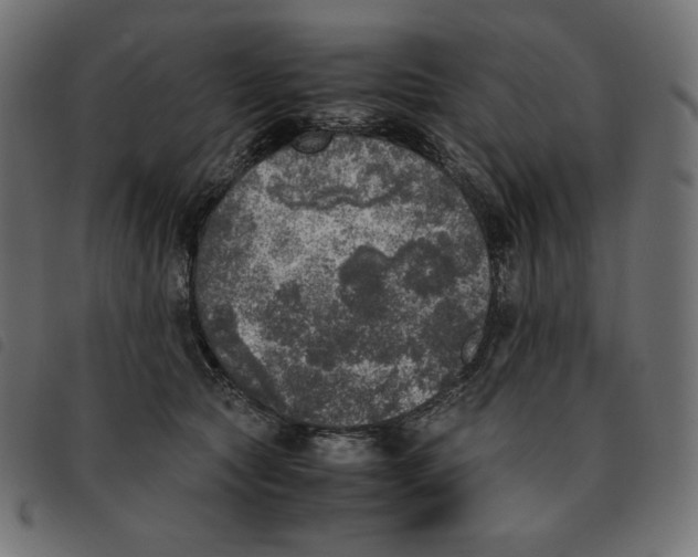X0000092330561200710121536
