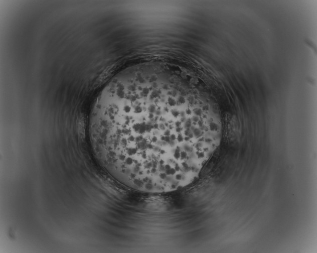 X0000092330562200710121536