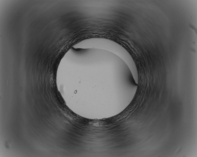 X0000092330564200710121536