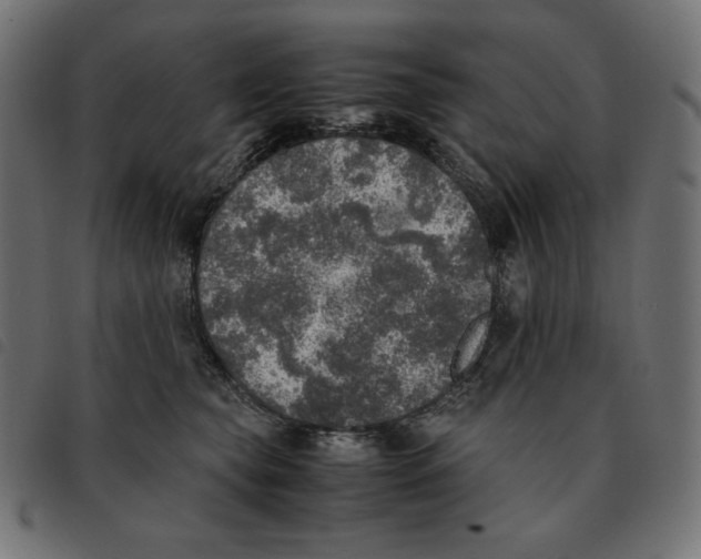 X0000092330565200710121536
