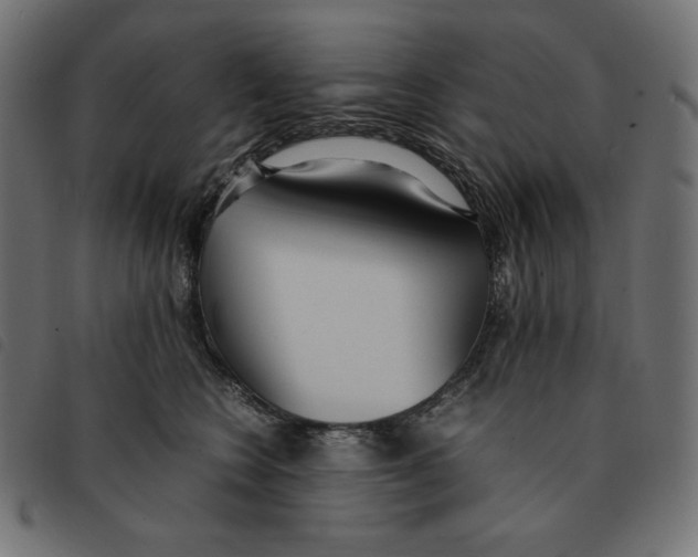 X0000092330566200710121536