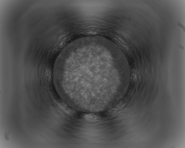 X0000092330568200710121536