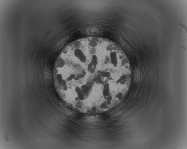 X0000092330569200710121536