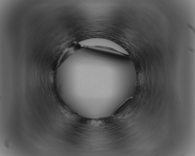 X0000092330570200710121536