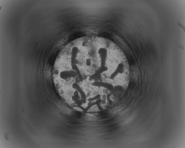 X0000092330573200710121536
