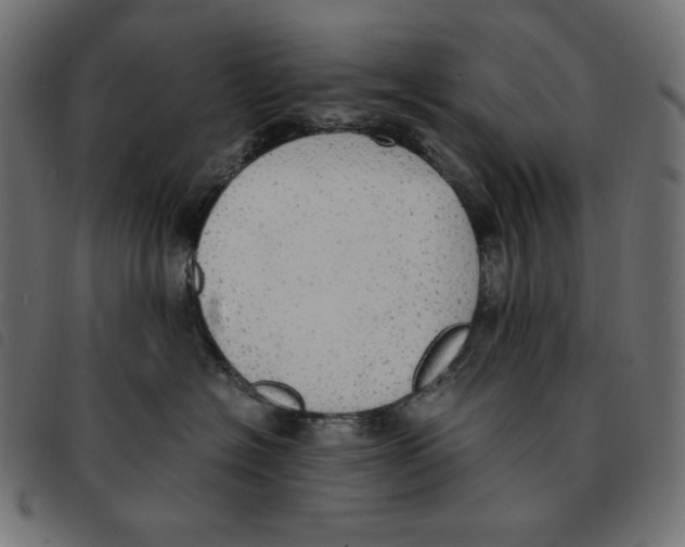 X0000092330574200710121536