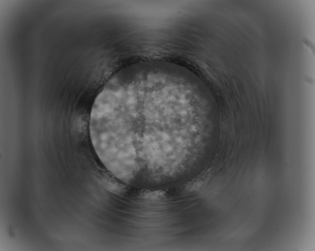 X0000092330576200710121536
