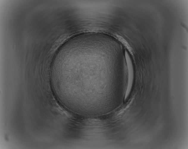 X0000092330577200710121536