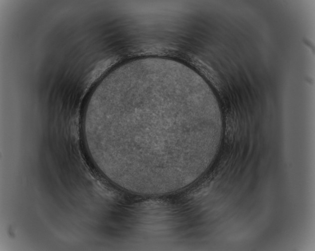 X0000092330578200710121536