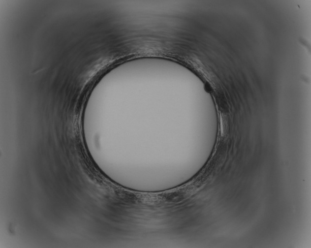 X0000092330579200710121536