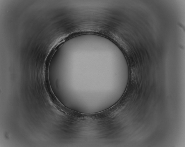X0000092330580200710121536