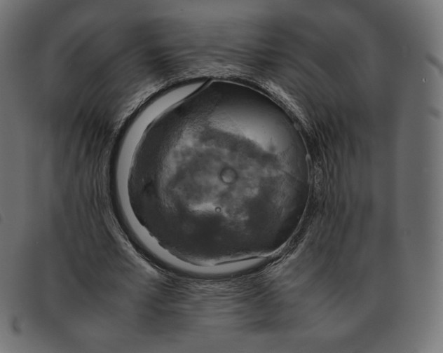 X0000092330581200710121536