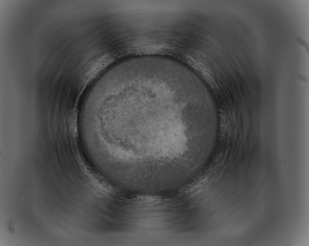 X0000092330582200710121536