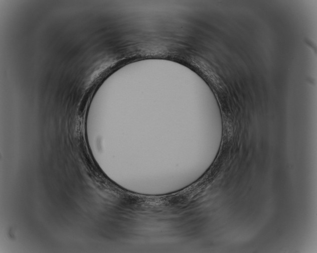 X0000092330583200710121536