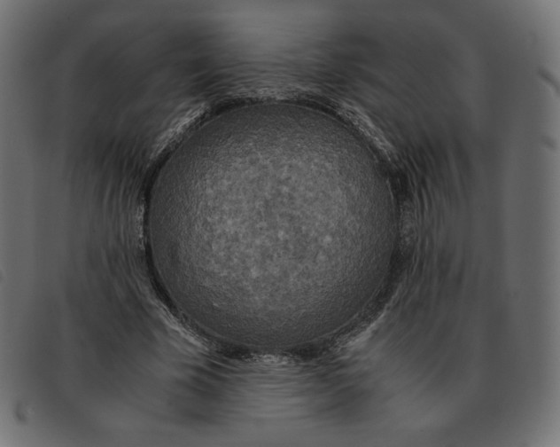 X0000092330585200710121536