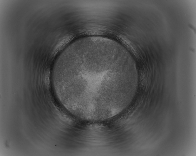 X0000092330586200710121535