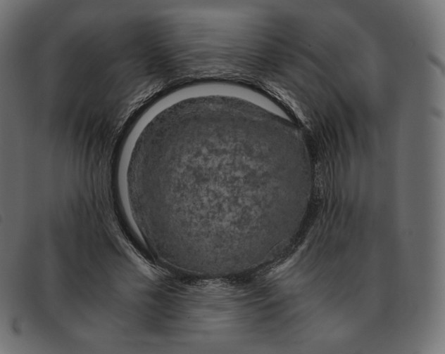 X0000092330589200710121535