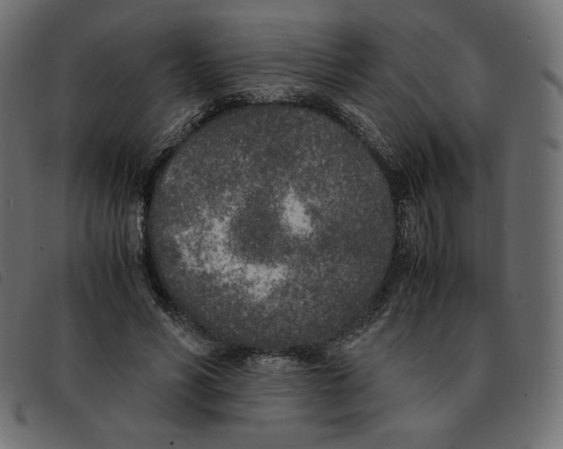 X0000092330590200710121535