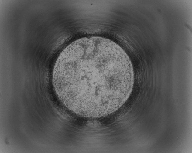 X0000092330591200710121535