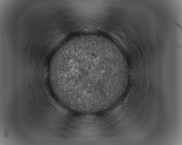 X0000092330593200710121535