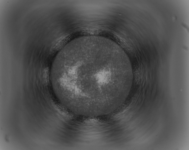 X0000092330594200710121535