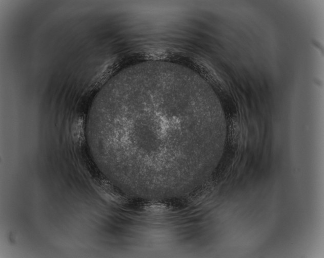 X0000092330598200710121535