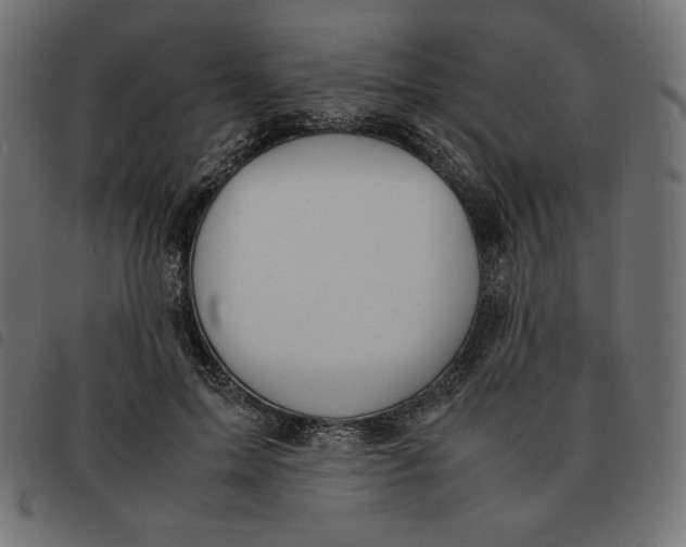 X0000092330599200710121535