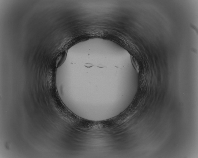 X0000092330600200710121535